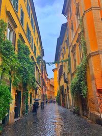 Narrow alley amidst buildings in city