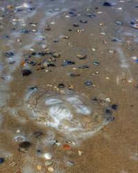 High angle view of sand on beach