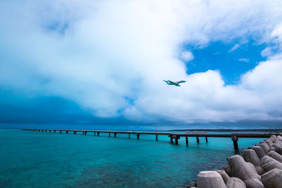 Birds flying over sea against sky