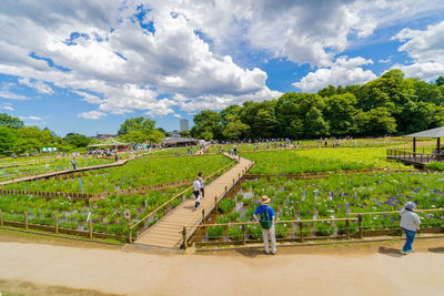 Panoramic view of agricultural field against sky