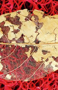 Full frame shot of red wall