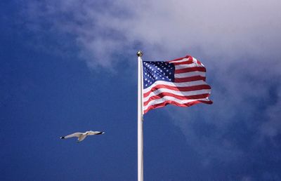 Low angle view of flag flying against blue sky