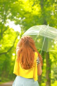 Rear view of woman with umbrella in front of trees