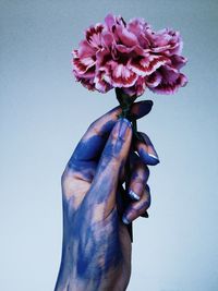 Close-up of hand holding flower against sky