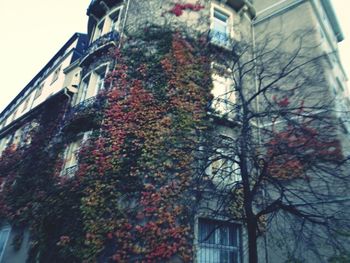 Low angle view of building