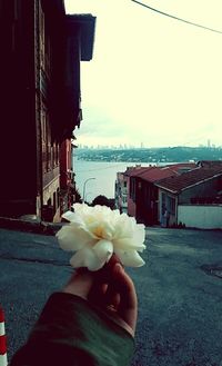 Person holding flowers in backyard