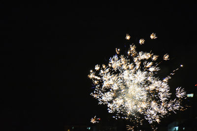 Low angle view of firework display at night