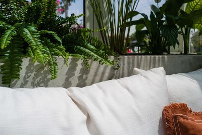 Interior of the cafe with sofa and pillows