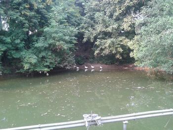 High angle view of trees by lake against sky