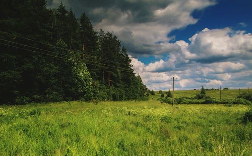 Scenic view of landscape against sky