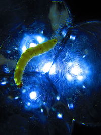 Low angle view of illuminated water