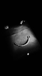 Close-up of snake