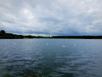 Bird flying over sea against cloudy sky