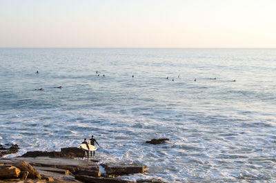 Swans on beach against clear sky