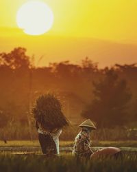 View of horse on field during sunset