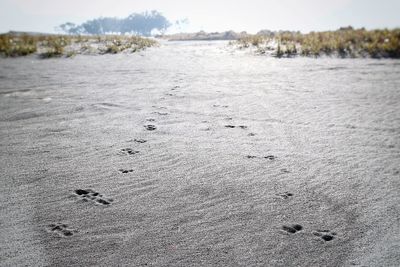 Close-up of footprints on sand at beach