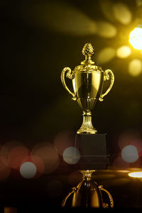 Close-up of trophy on table against illuminated lights