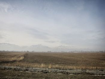 Scenic view of field against sky