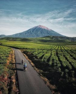 Scenic view of road amidst field against sky