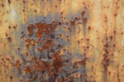 Full frame shot of rusty metal