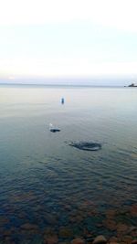 Scenic view of seascape against sky
