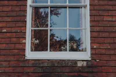 Window on brick wall of building