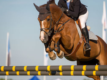 Low section of jockey jumping horse over hurdles against sky