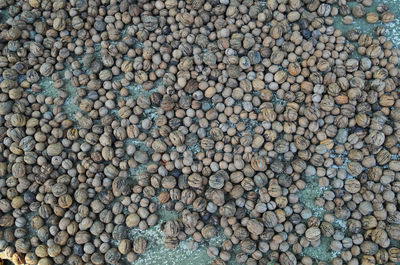 Full frame shot of pebbles