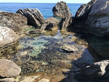 Close-up of rocks in sea against clear sky
