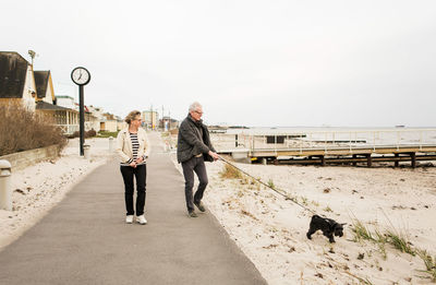 Senior couple walking with schnauzer on footpath at beach against clear sky