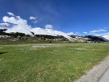 Scenic view of field against sky
