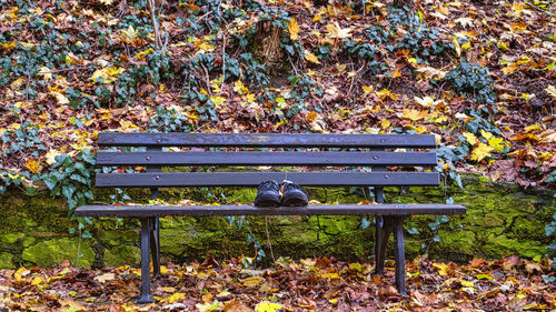 Empty bench on field in park during autumn