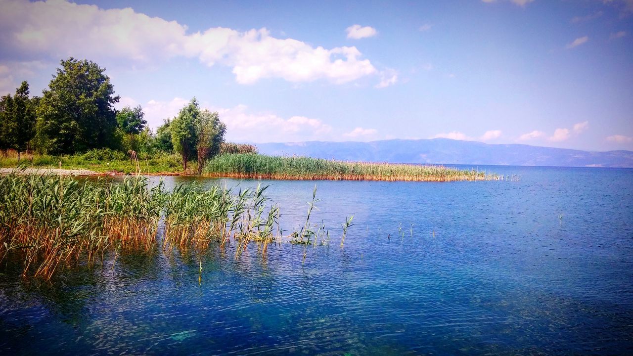 water, sky, tranquil scene, sea, tranquility, scenics, beauty in nature, cloud - sky, nature, cloud, horizon over water, beach, idyllic, waterfront, reflection, tree, blue, cloudy, rippled, lake