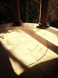 View of tree trunk in garden