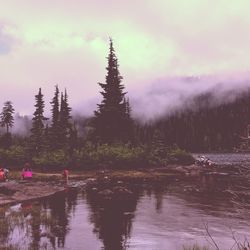 People by lake in forest during foggy weather