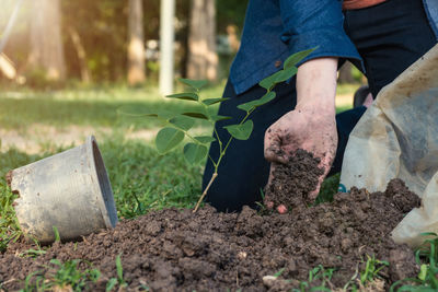 Close-up of man planting plant in park