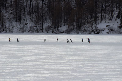 People skiing on snow covered field