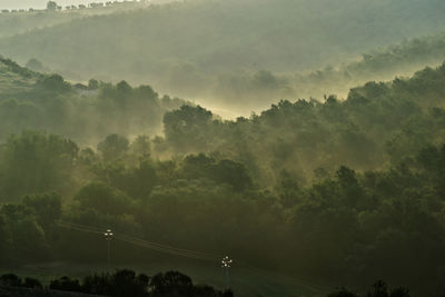 Scenic view of trees against sky during foggy weather