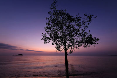 Silhouette tree by sea against sky during sunset