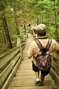 Rear view of man walking on steps in forest