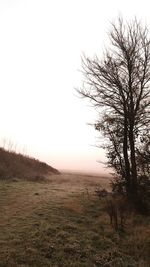 Silhouette tree on landscape against sky