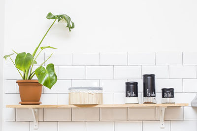 Potted plant against white wall at home