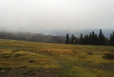 Scenic view of field against sky