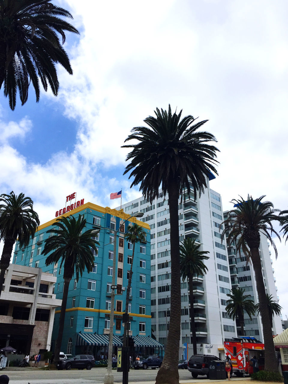 LOW ANGLE VIEW OF PALM TREES BY CITY AGAINST SKY