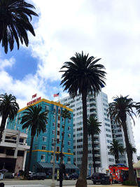 Low angle view of palm trees against sky