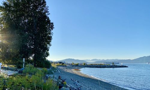 Scenic view of sea against clear blue sky
