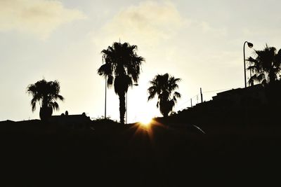Silhouette trees on landscape against sky at sunset