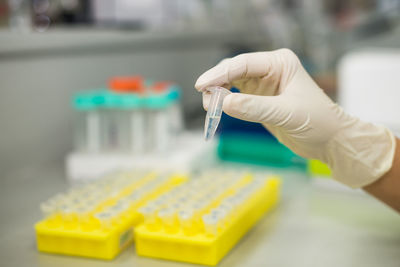 Cropped hand of scientist experimenting in laboratory