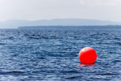 Close-up of red floating on sea against sky