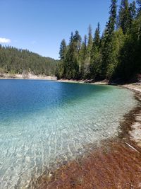 Scenic view of sea against clear blue sky